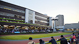 川崎競馬場の風景